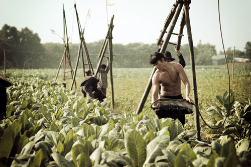 Ngọc Tình lực lưỡng với vai lực điền - 10