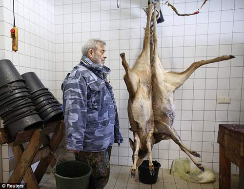 Đức: Người mớm thịt cho sói - 9