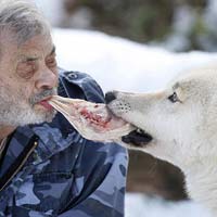 Tin tức trong ngày - Đức: Người mớm thịt cho sói