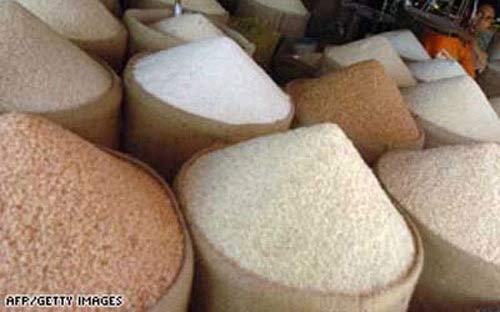 Giá lúa gạo đồng loạt giảm mạnh - 1