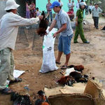 Gí súng đập chết gà: CA phường xin lỗi