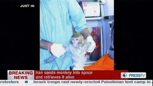 Iran đưa khỉ lên vũ trụ thành công - 1