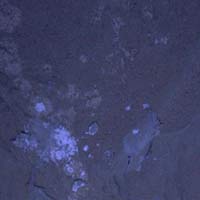 Tin tức trong ngày - Ảnh sao Hỏa đẹp lạ trong đêm