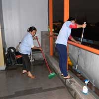 Tin tức trong ngày - "Sốt" nghề trông nhà ngày Tết