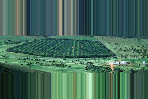 Cảnh thiên nhiên "điên đảo" khiến con người hoa mắt - 8