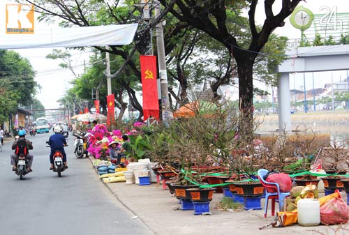 Hoa tết cập bến Bình Đông đợi khách - 5