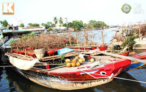 Hoa tết cập bến Bình Đông đợi khách - 2