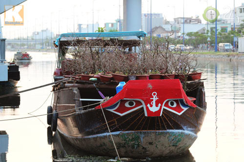 Hoa tết cập bến Bình Đông đợi khách - 9