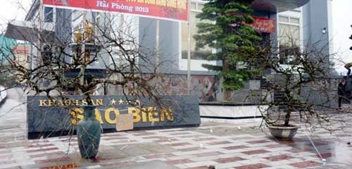 Cặp đào phai có giá hàng trăm triệu - 3