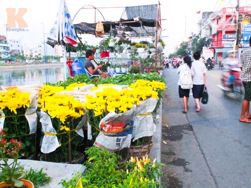 Hoa tết cập bến Bình Đông đợi khách - 6