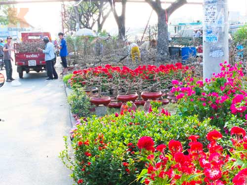 Hoa tết cập bến Bình Đông đợi khách - 4