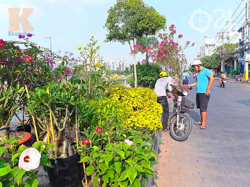 Hoa tết cập bến Bình Đông đợi khách - 2