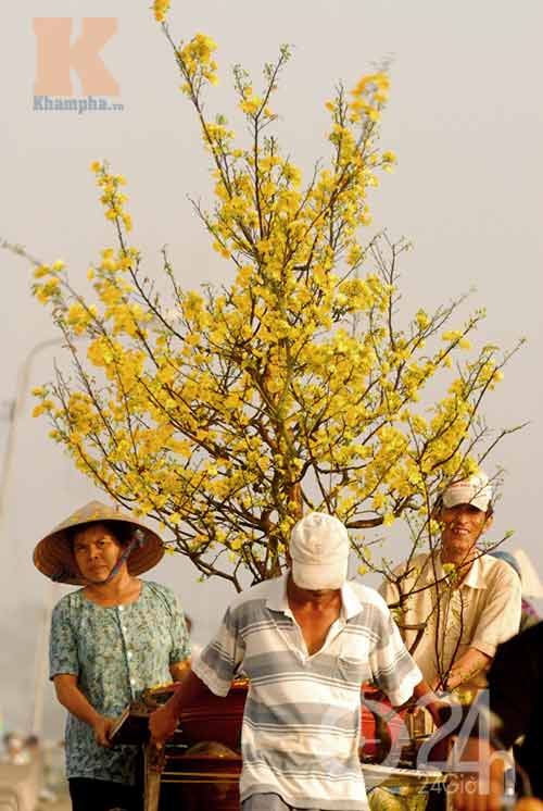 Xuân về trên sông nước miền Tây - 8