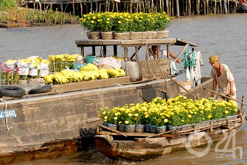 Xuân về trên sông nước miền Tây - 9