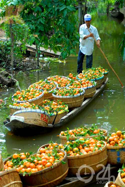 Xuân về trên sông nước miền Tây - 12
