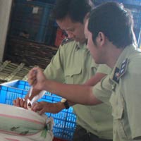 Sức khỏe đời sống - Kiểm tra an toàn thực phẩm: "Sờ đâu chết đó!"