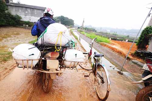 Làng nuôi cá chép đỏ vào mùa tiễn ông Táo - 11