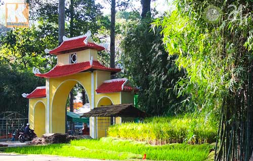 Hoa tết đổ bộ vào TP.HCM - 2