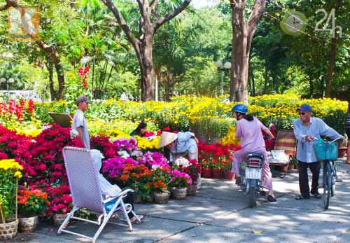Hoa tết đổ bộ vào TP.HCM - 9