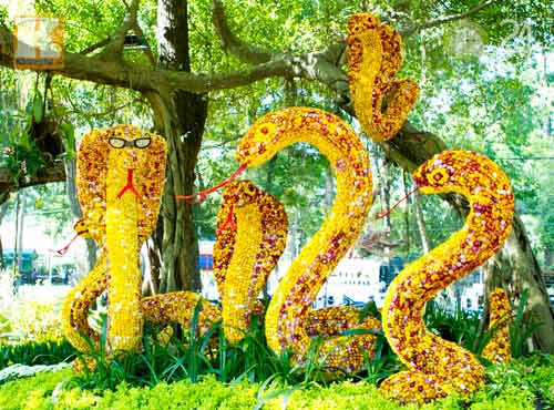 Hoa tết đổ bộ vào TP.HCM - 4