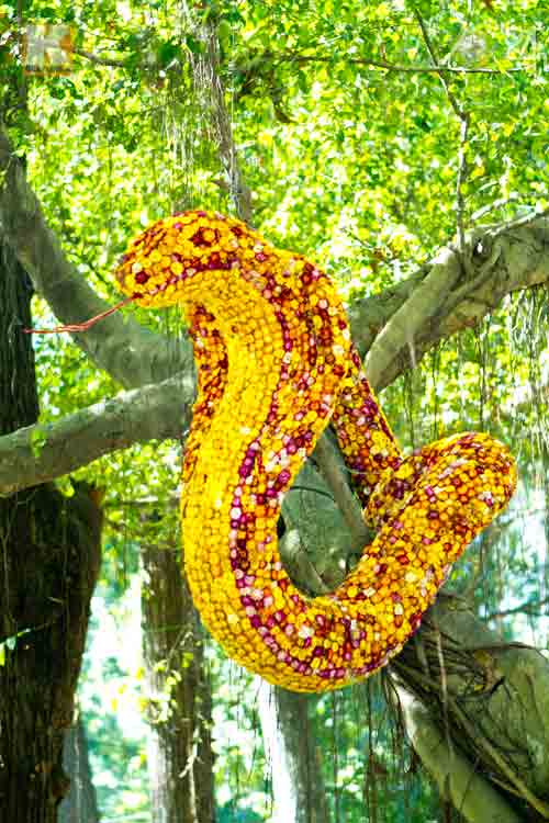 Hoa tết đổ bộ vào TP.HCM - 5