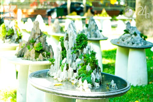 Hoa tết đổ bộ vào TP.HCM - 6