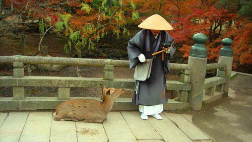 Đắm mình trong nét duyên thầm Nara, Nhật Bản - 1