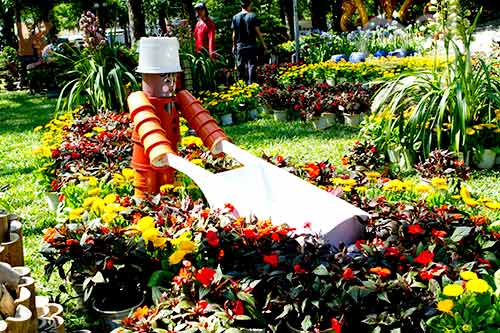 Hoa tết đổ bộ vào TP.HCM - 7