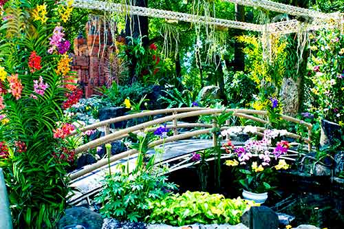 Hoa tết đổ bộ vào TP.HCM - 8