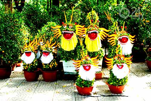 Hoa tết đổ bộ vào TP.HCM - 12