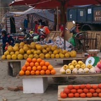 Giá cả hàng hóa - Làm thế nào chọn bưởi Diễn "xịn" ?