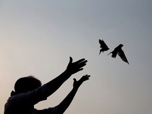 Nước mắt tại lễ hỏa thiêu cựu vương Sihanouk - 4