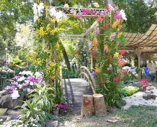 Xương rồng “độc” đón xuân giữa Sài thành - 5