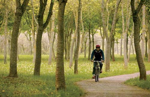 Miên man sắc xanh êm đềm ‘xứ sở bò tót’ - 1