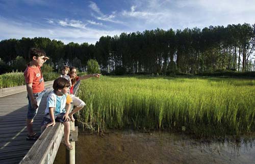 Miên man sắc xanh êm đềm ‘xứ sở bò tót’ - 3