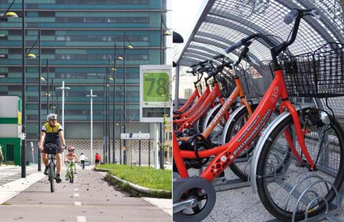 Miên man sắc xanh êm đềm ‘xứ sở bò tót’ - 4