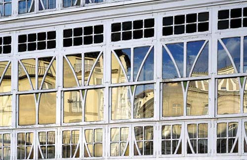 Miên man sắc xanh êm đềm ‘xứ sở bò tót’ - 6