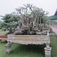 Tin tức trong ngày - Đau đầu nghĩ cách trông nhà tiền tỉ qua Tết