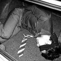 Pháp luật - Bắt cóc chủ trại gà đòi 3 tỉ đồng tiền chuộc