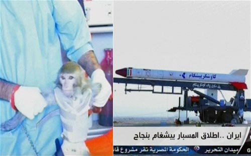 Mỹ nghi Iran giả mạo vụ đưa khỉ lên vũ trụ - 1