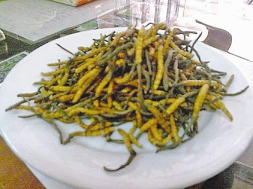 Quà biếu sếp tiền tỷ cháy hàng - 2