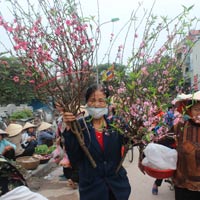 Tin tức trong ngày - Chợ quê phiên cuối cùng trong năm