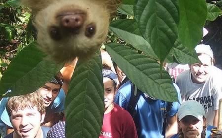 12 “kẻ phá đám” kỳ lạ - 4