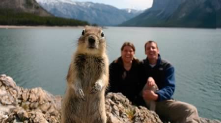 12 “kẻ phá đám” kỳ lạ - 5