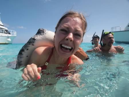 12 “kẻ phá đám” kỳ lạ - 6