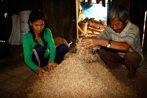 Dân Sông Tranh thấp thỏm đón Tết - 4