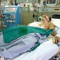 Tin tức trong ngày - Nghỉ Tết, ô sin nam đắt khách trong bệnh viện