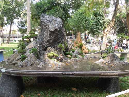 Ngắm cây rừng trong sách đỏ giữa Sài thành - 3