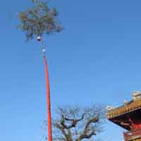 Tin tức trong ngày - Dựng cây nêu trong hoàng cung Huế