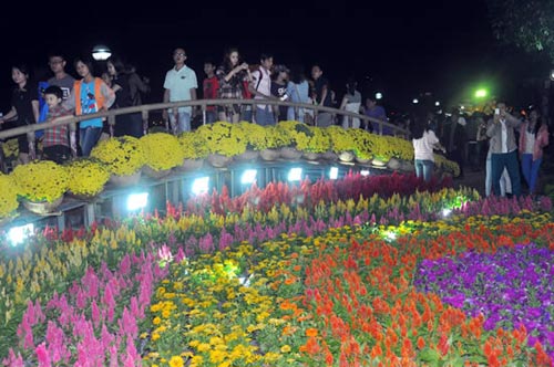 Đà Nẵng: Rực rỡ Đường hoa xuân Bạch Đằng - 7